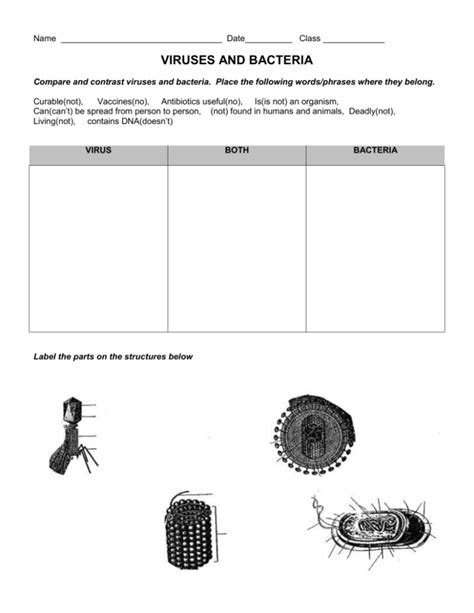 comparing viruses and bacteria worksheet